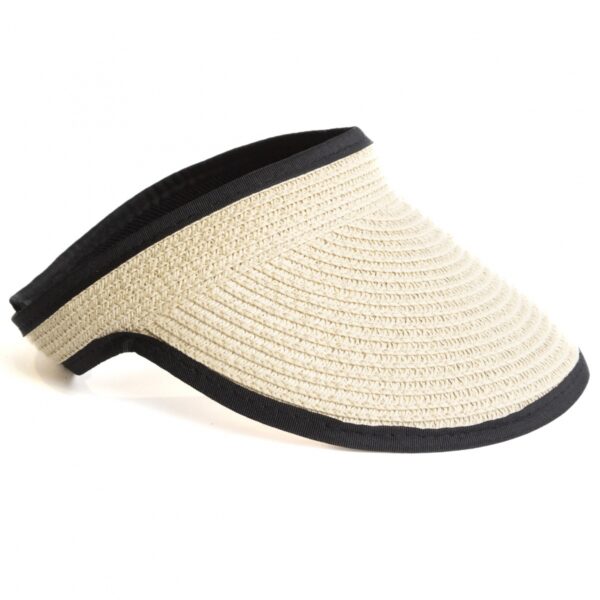 VISERA 1580
