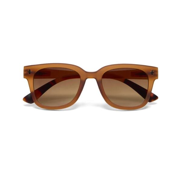 Gafas OK013TBR