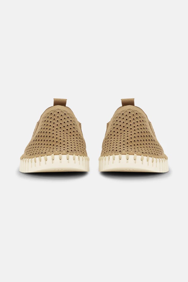 Tulip 140LA - Imagen 2